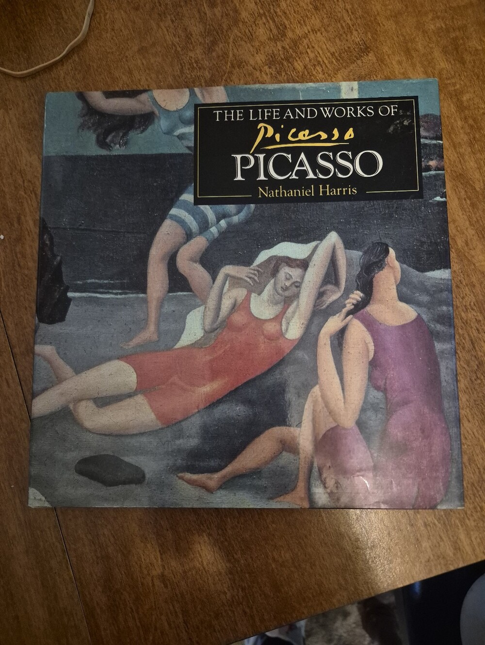 Picasso Art Print Book Cover Wall Art - Multicolor